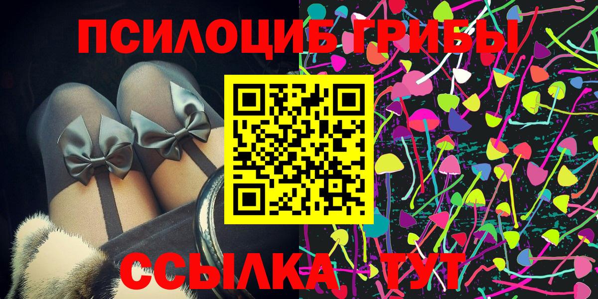 Галлюциногенные грибы MAGIC MUSHROOMS  Псилоцибиновые грибы Psilocybine cubensis  Вход с VPN  купить наркотики сайты  Реутов 